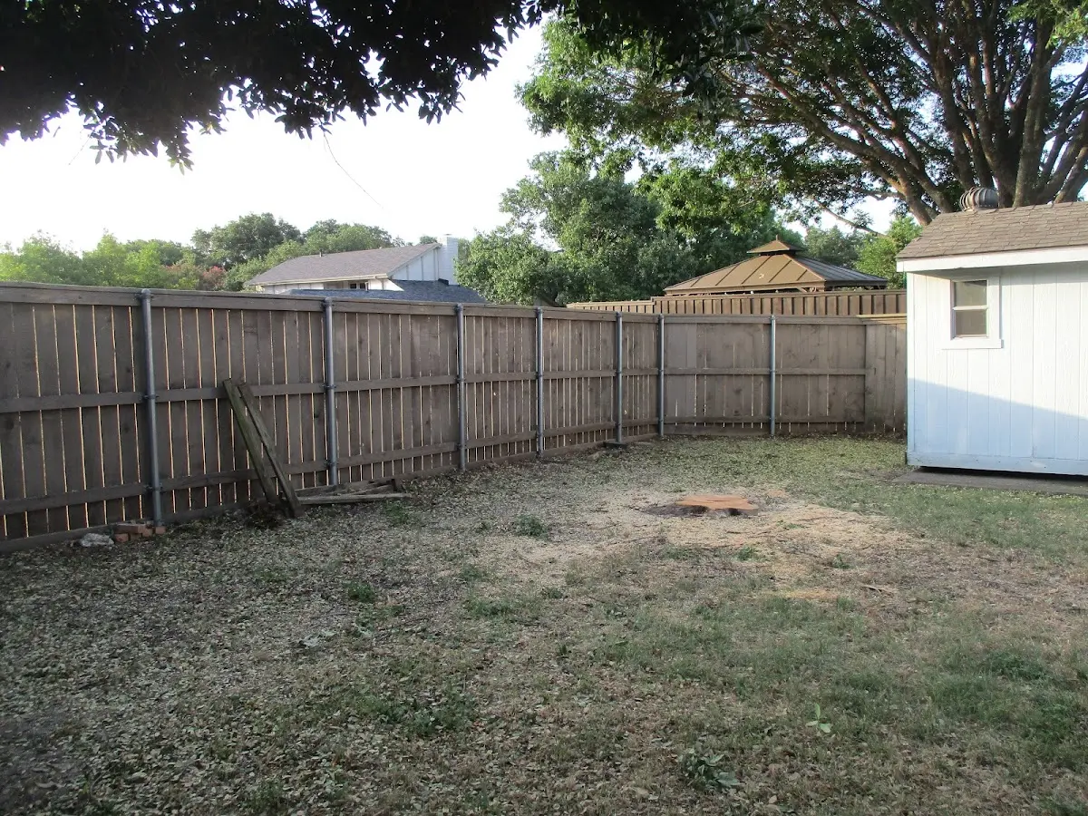 Cleared yard after professional tree removal in East Saint Louis