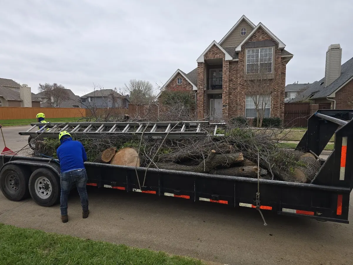 Expert Tree Pest Control with proper safety equipment in East Saint Louis